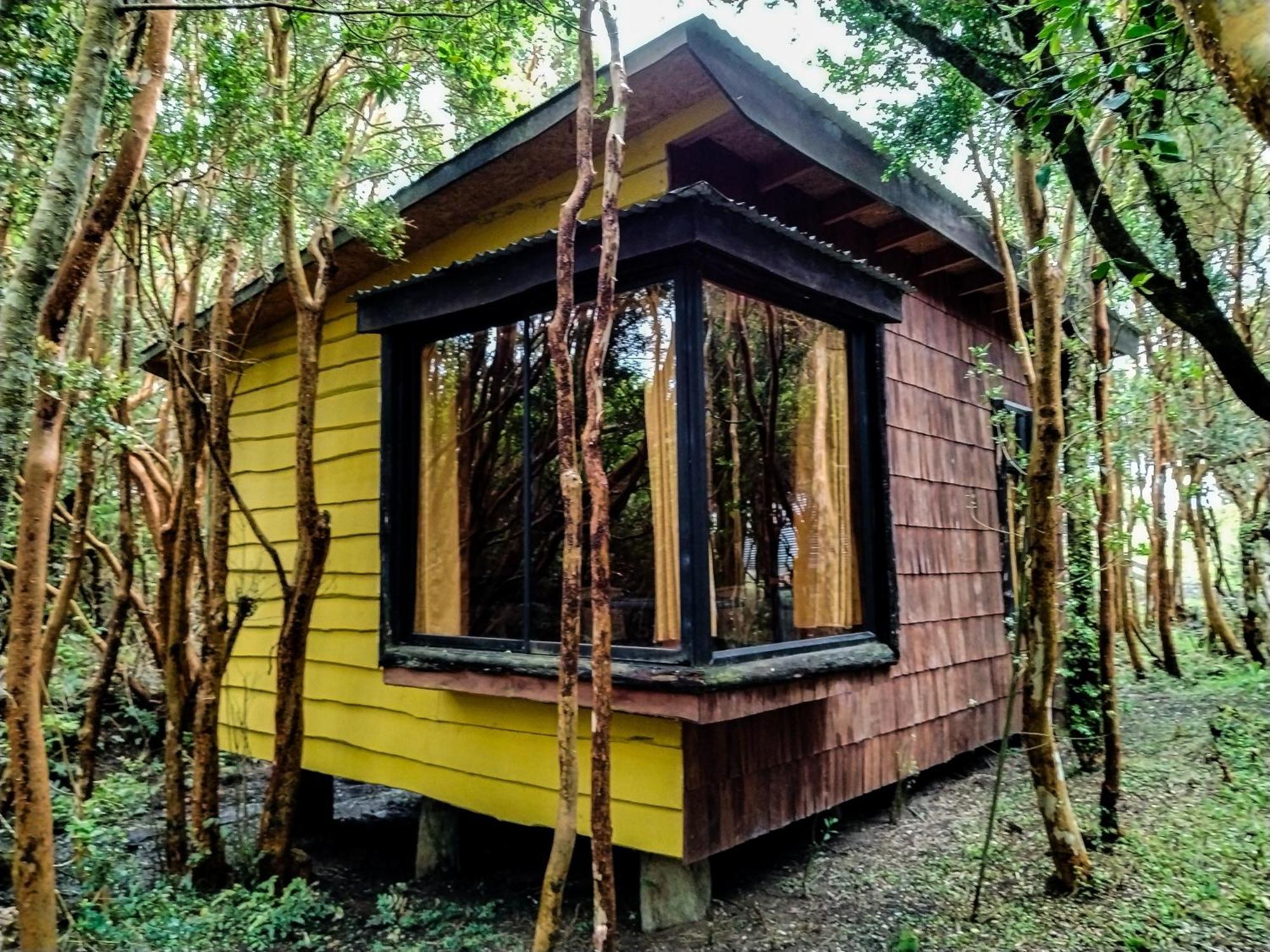 Hostal & Cabanas Luna Del Sur Cucao Dış mekan fotoğraf